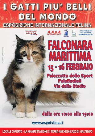 I gatti piu' belli del mondo - esposizione internazionale felina